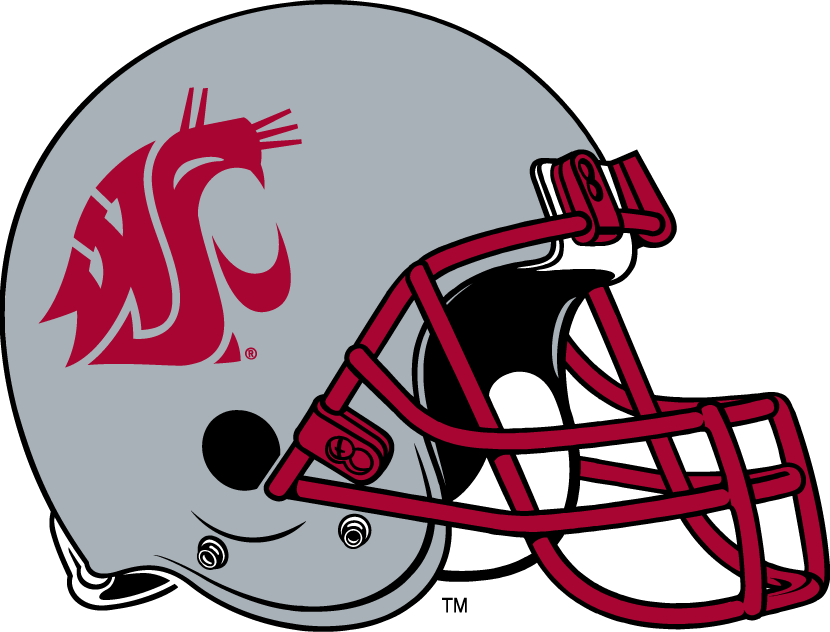 Washington State Cougars 1999-Pres Helmet Logo DIY iron on transfer (heat transfer)